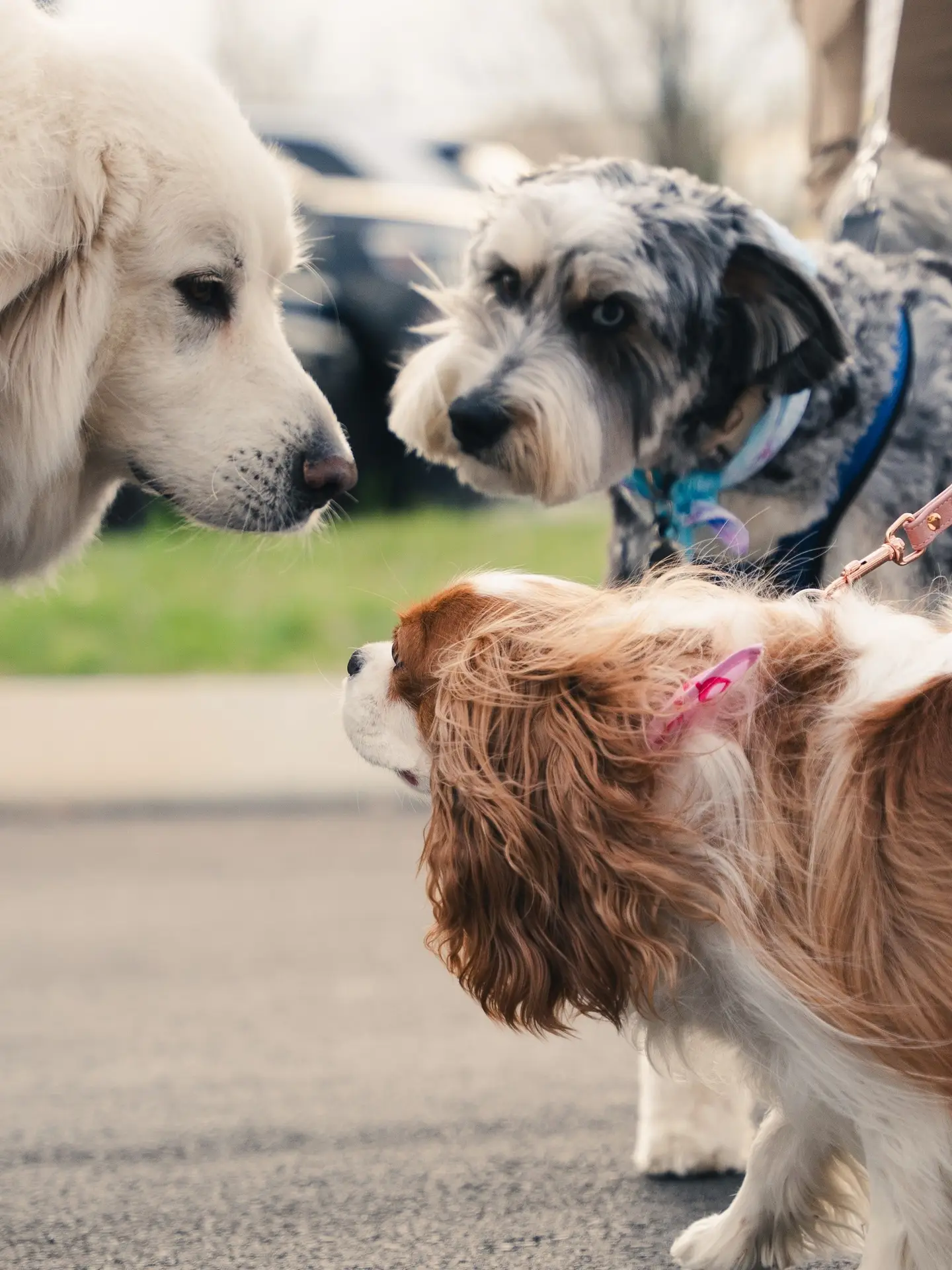 662466515_1758443805607022_2453885061057497631_n