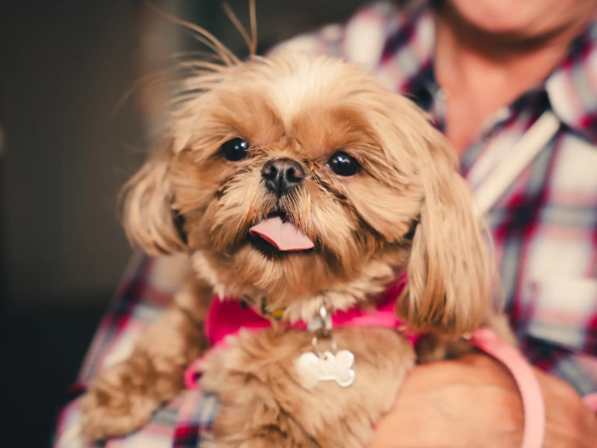 662466522_1758441752273894_392379116134623223_n