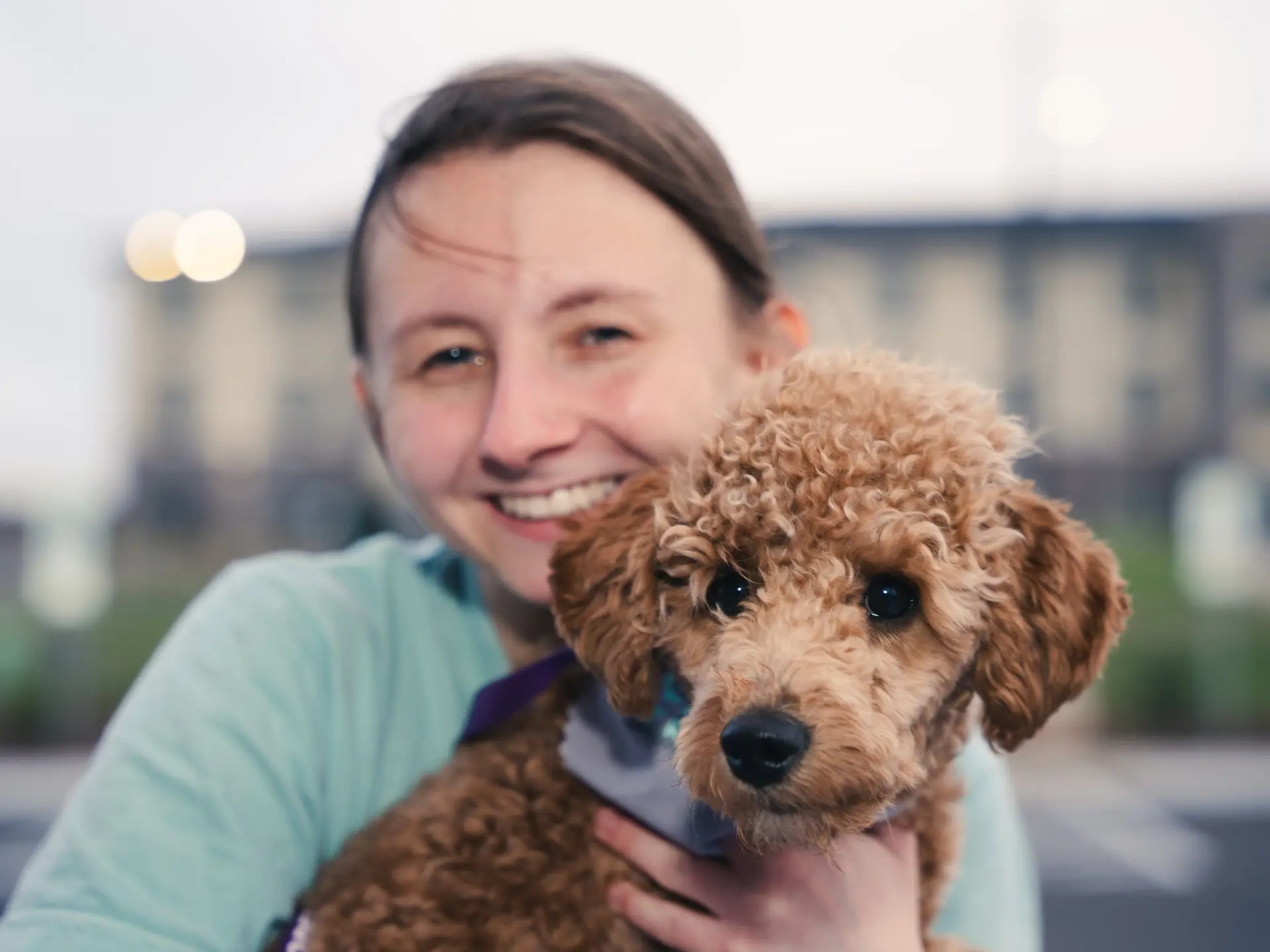 663147800_1758446348940101_1484833729036635501_n