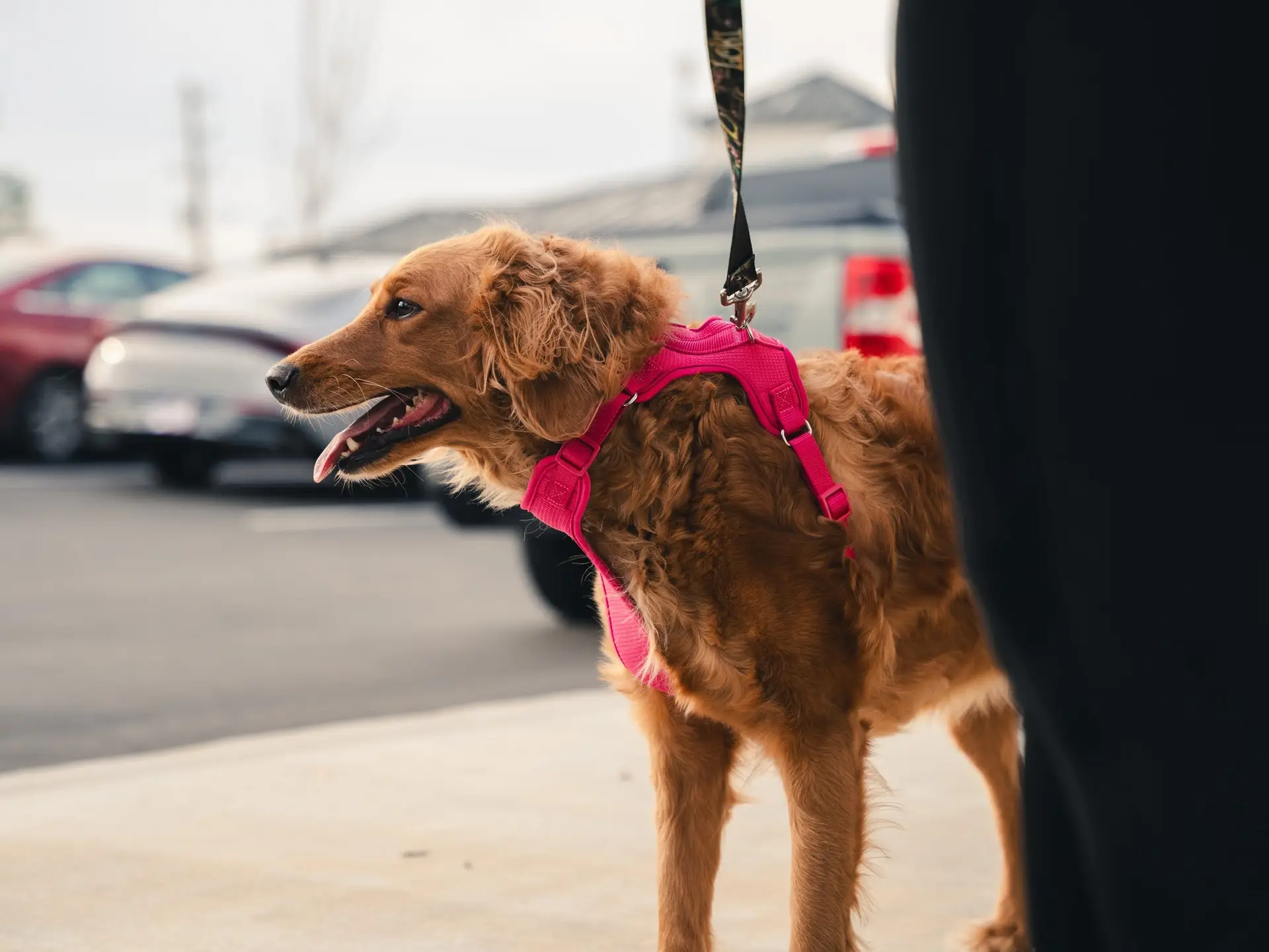 663222630_1758443688940367_7572002600412846134_n