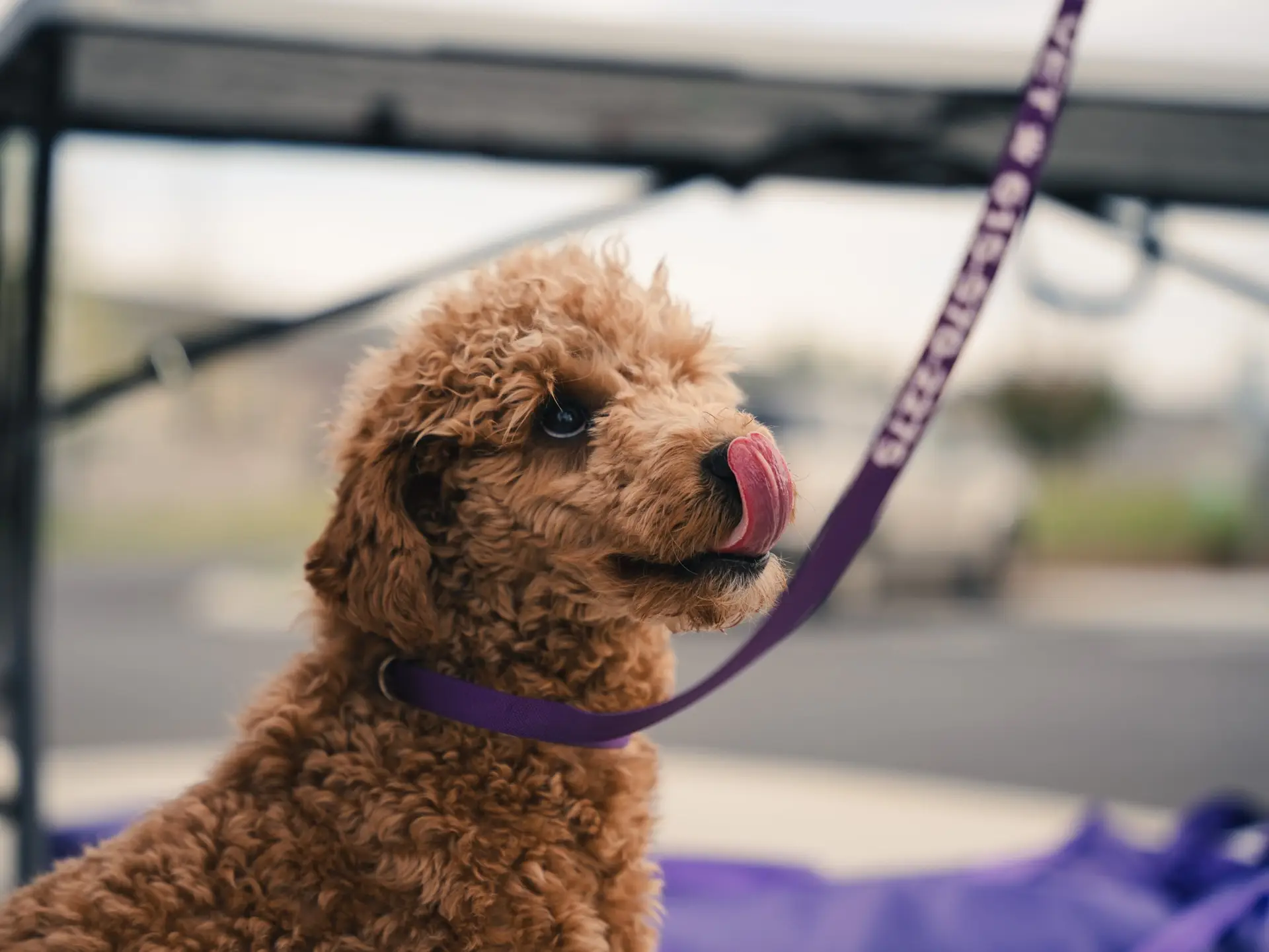 665161711_1758442802273789_5130579205837836678_n