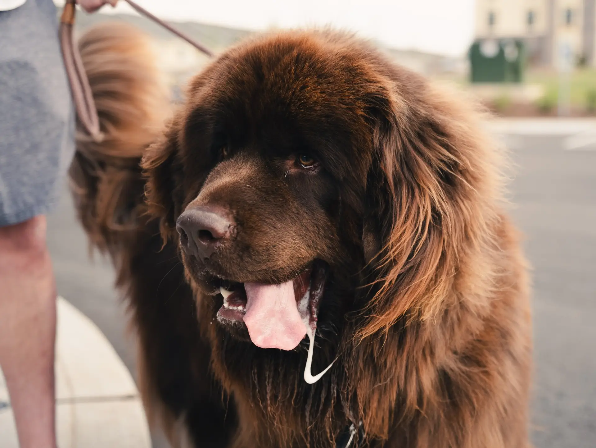 666960201_1758444272273642_7706068189598591072_n