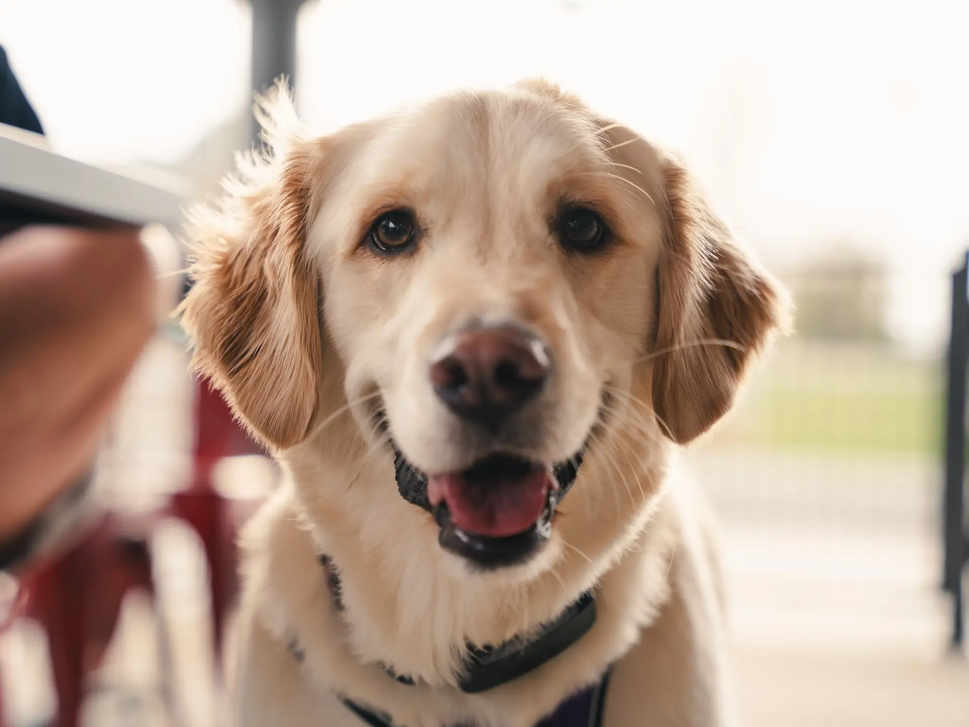 667232629_1758442008940535_5048283497975877952_n