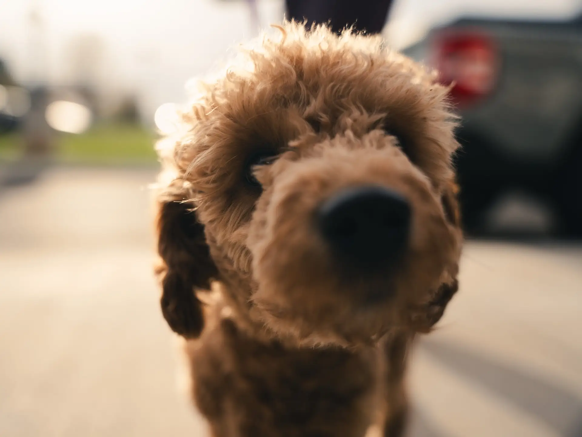 667250167_1758442395607163_8873852912335437208_n