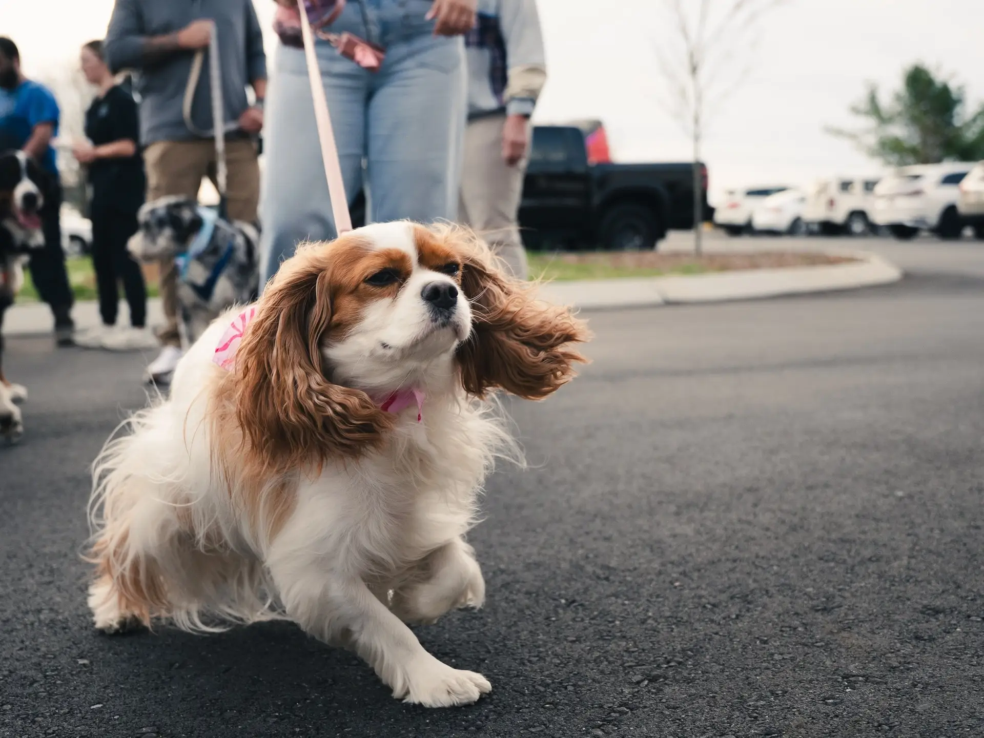 667318865_1758443958940340_2019564900871216371_n