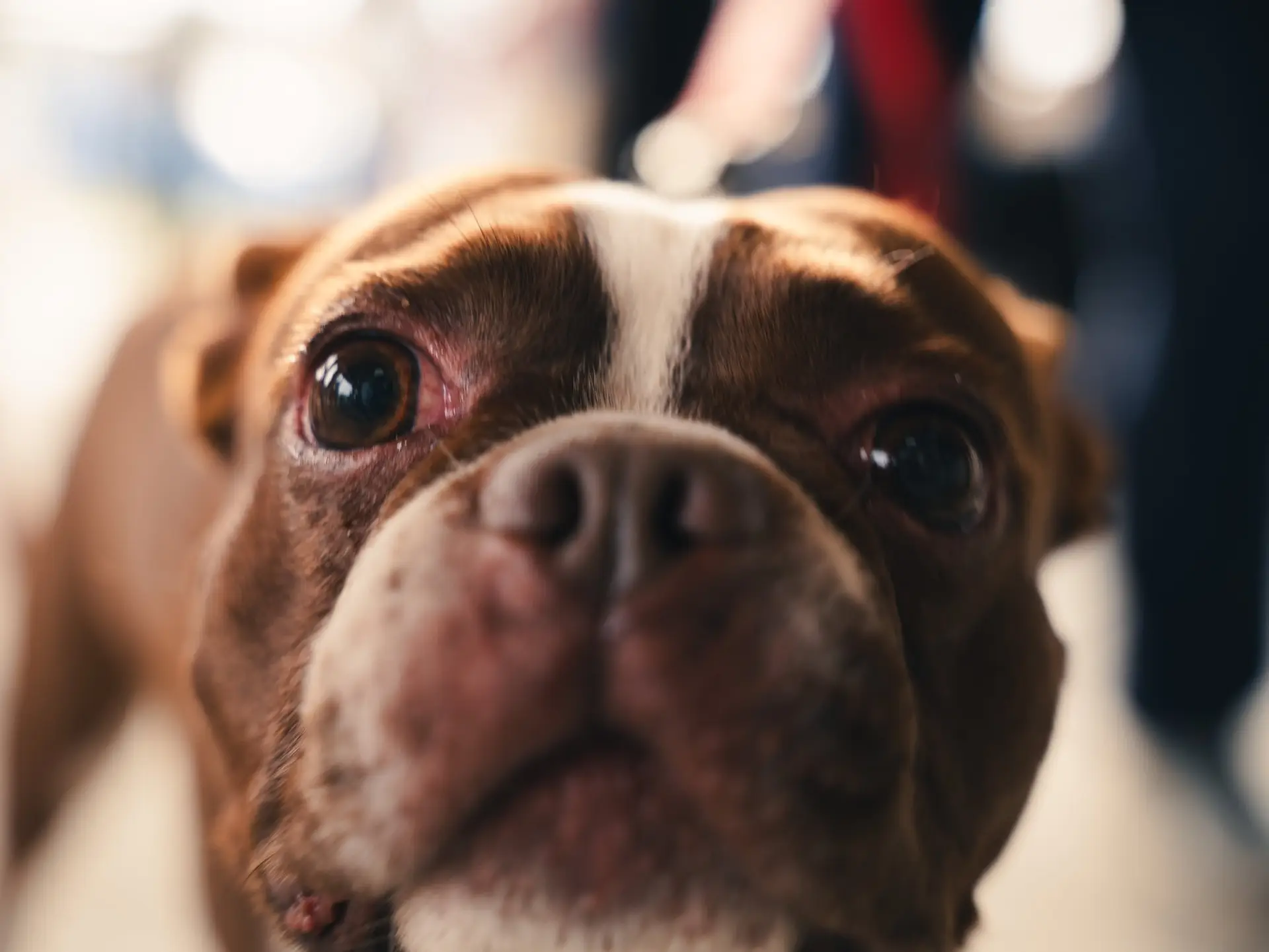 667325649_1758443452273724_6674667131676256271_n