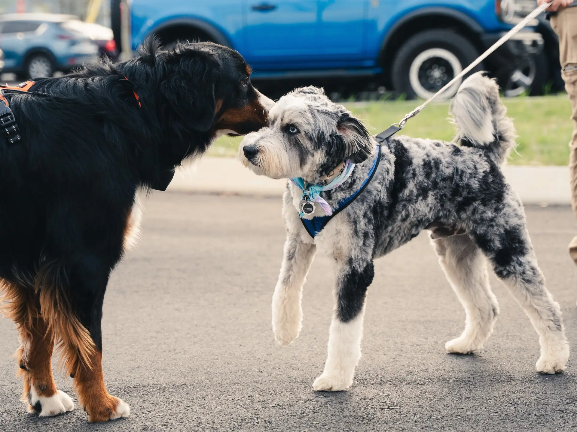 667721394_1758443712273698_4582767133237205848_n