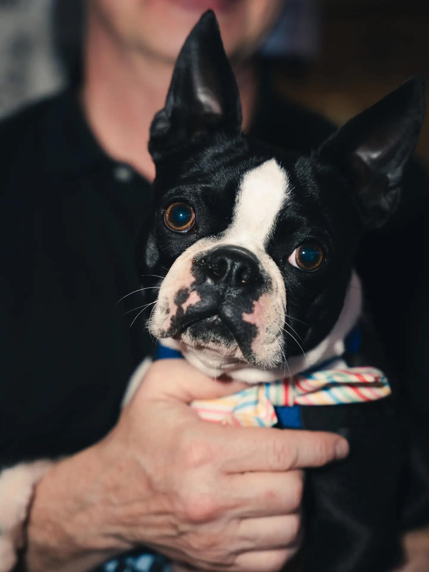 667866758_1758446702273399_5332424895084631227_n