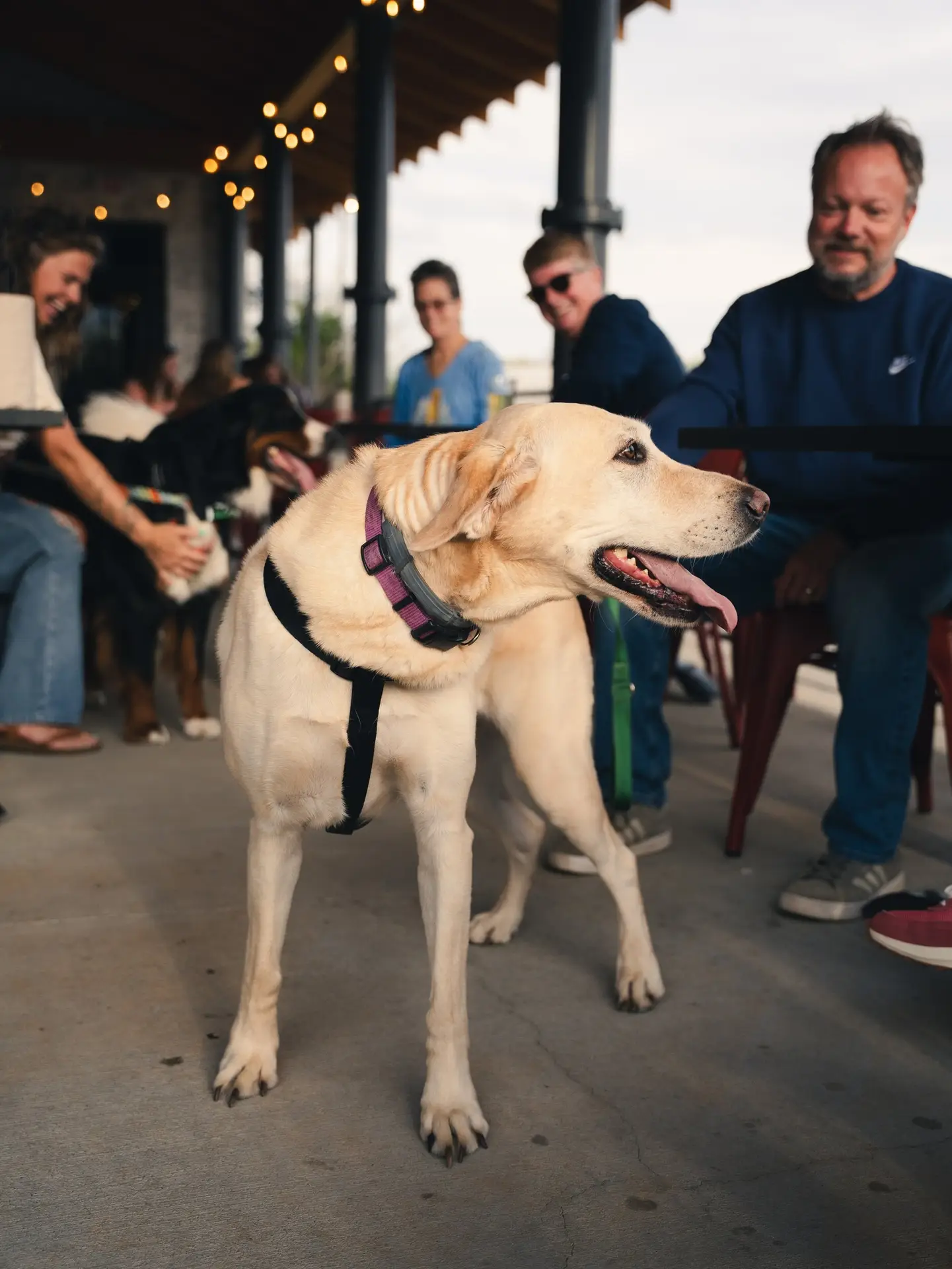 667881754_1758443208940415_968632810995579909_n