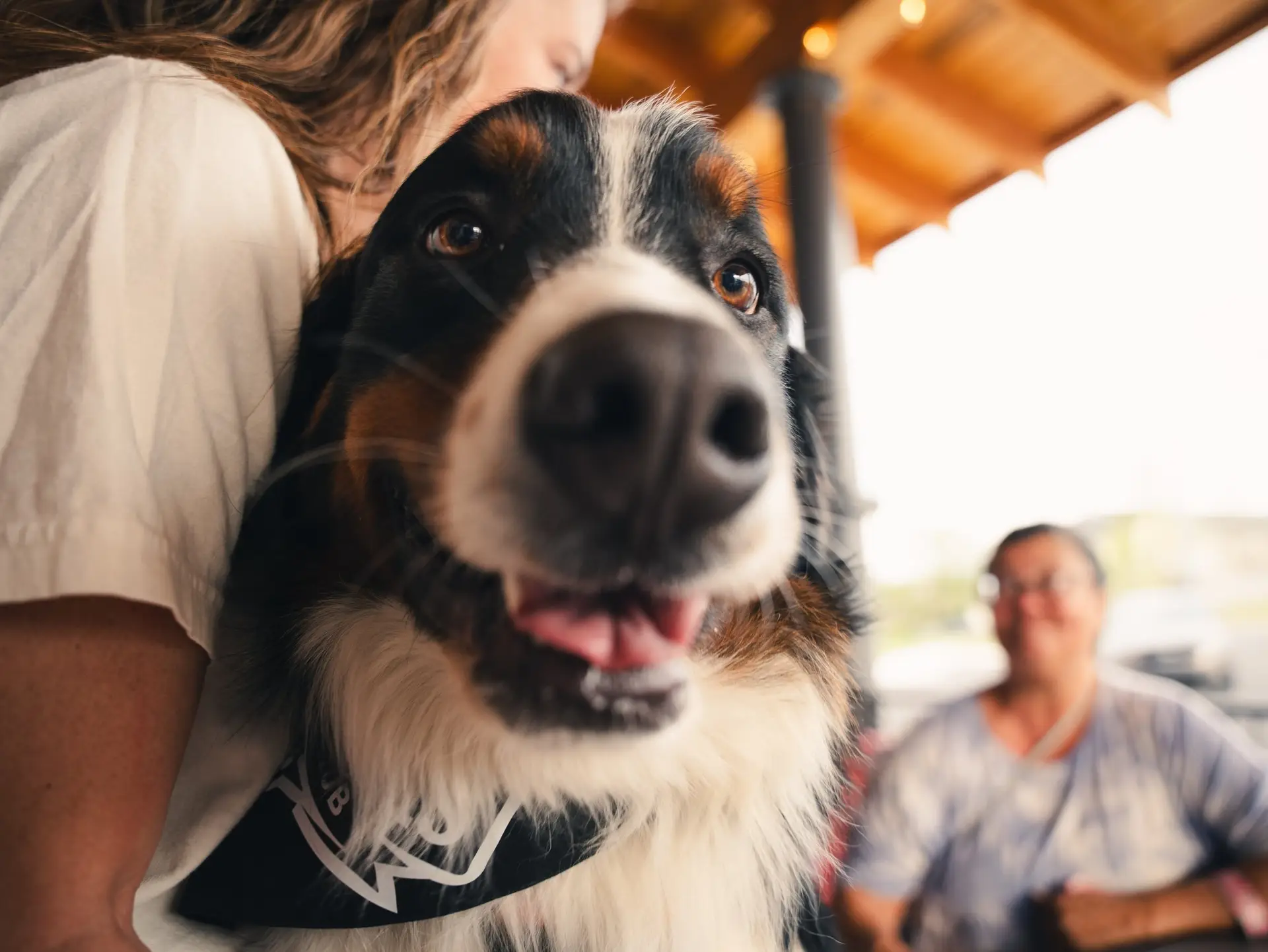 668625612_1758443085607094_3982906219453861735_n