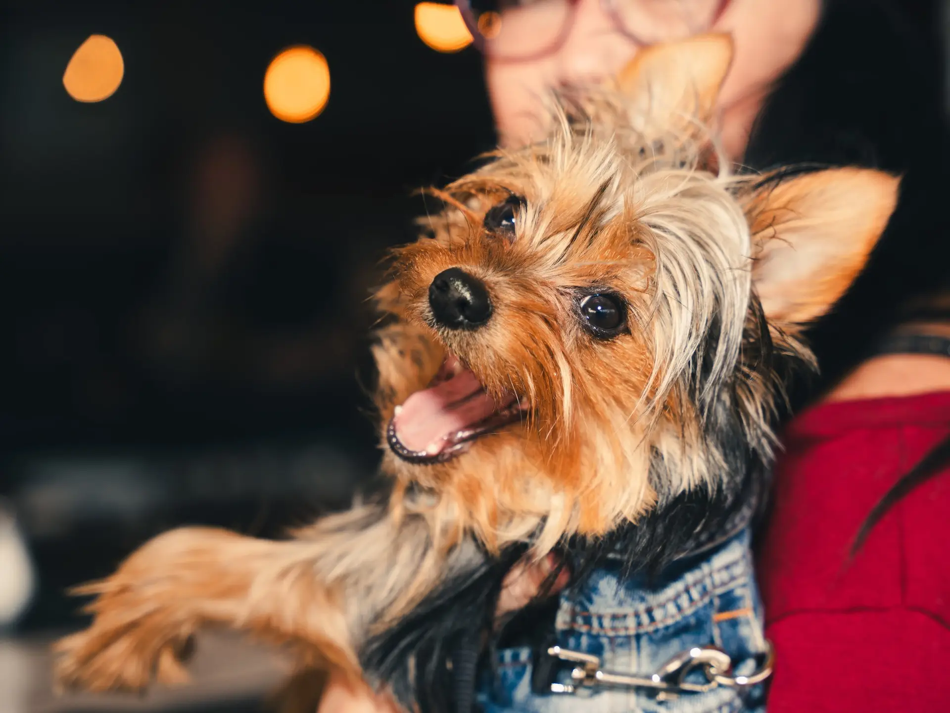 668826120_1758441702273899_8599411907015842514_n