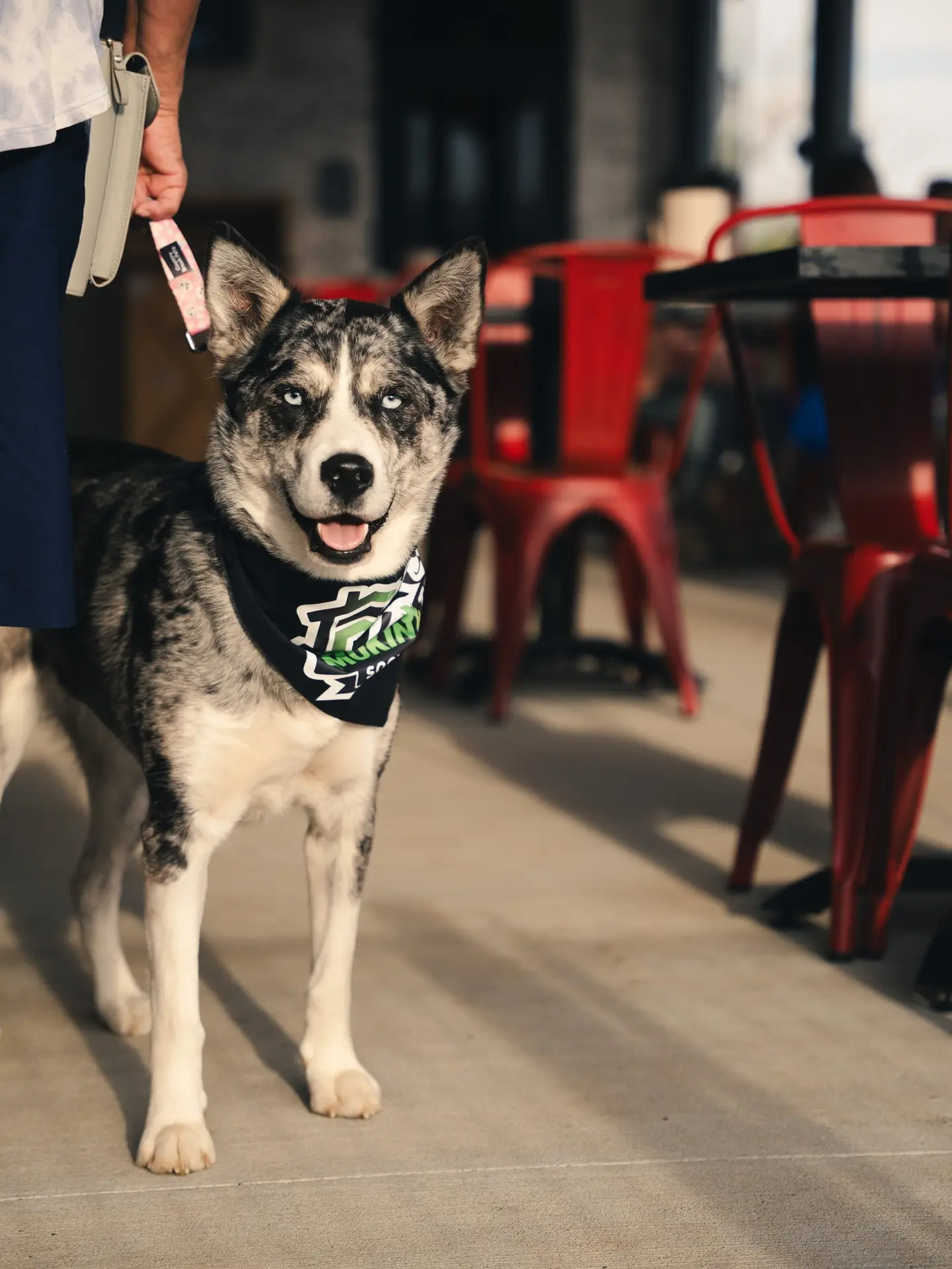 669073689_1758442622273807_8235024236711216707_n